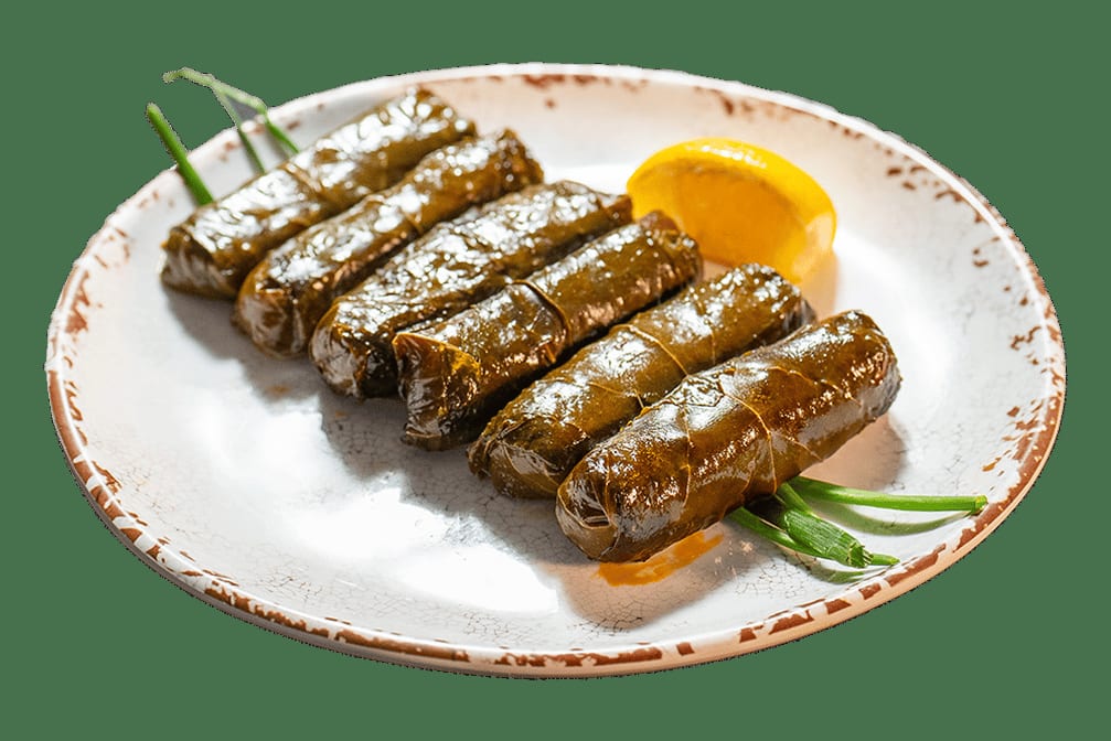 Grape Leaves Appetizer.